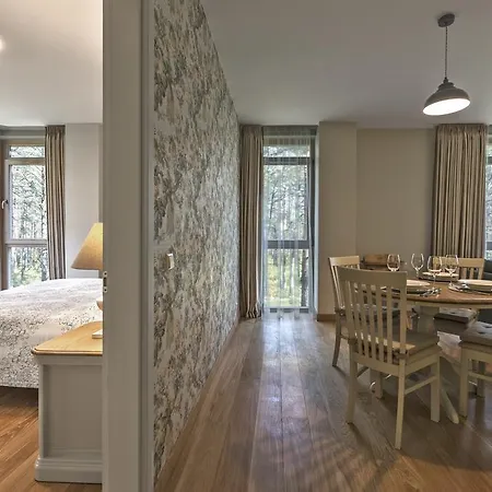Apartment Soulhouse Druskininkai