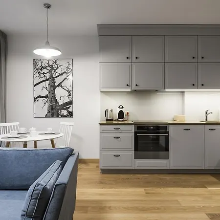 Apartment Soulhouse Druskininkai