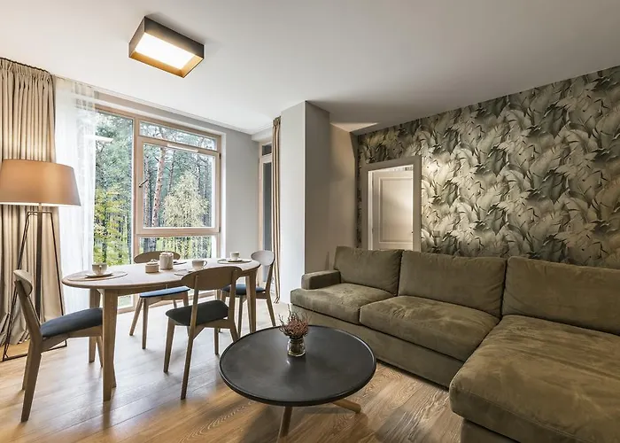 Apartment Soulhouse Druskininkai