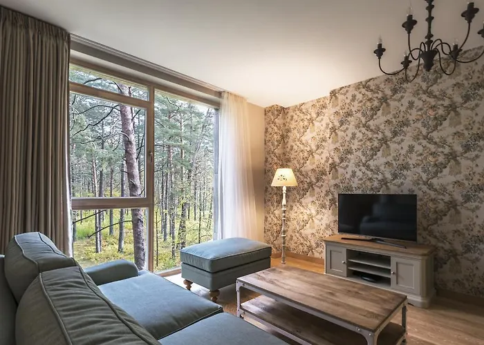 Apartment Soulhouse Druskininkai