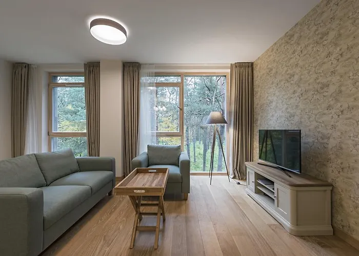 Apartment Soulhouse Druskininkai