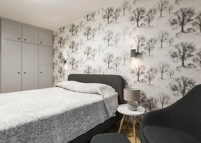 Apartment Soulhouse Druskininkai