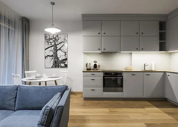 Apartment Soulhouse Druskininkai