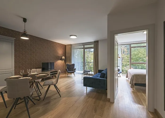 Soulhouse Druskininkai